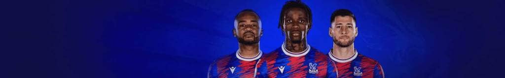 giant sudoku puzzles
